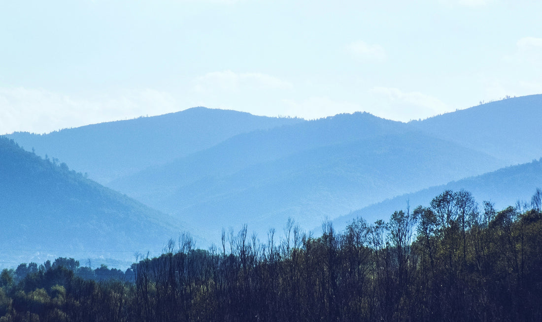 Top and Best Web and Mobile Design Agencies and Companies in Burlington, North Carolina