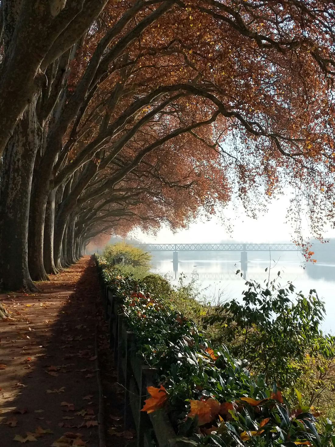 Top or Best Photo Editing Agencies and Companies in Potomac, Maryland