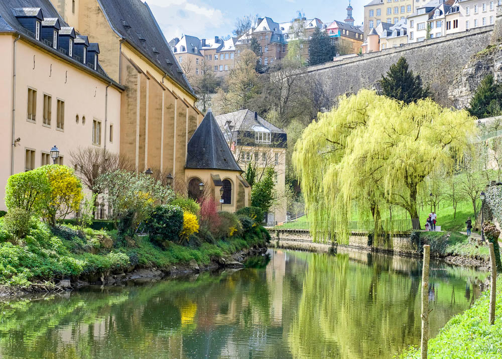 Top 5 Website Design Agencies in Luxembourg