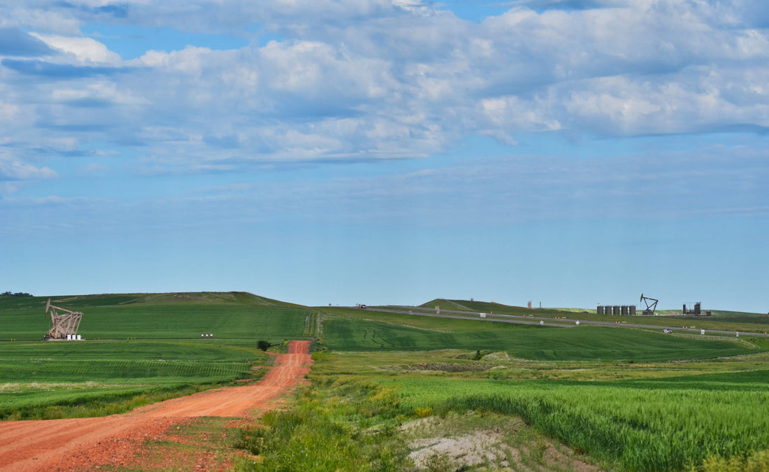 Top or Best Social Media Design Agencies and Companies in Dickinson, North Dakota