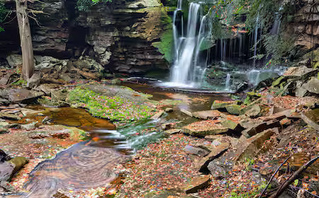 Top or Best Animation and Motion Graphics Agencies and Companies in Bridgeport, West Virginia