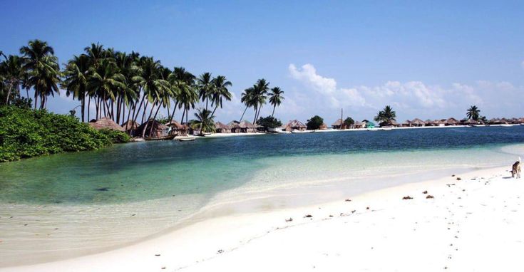 Top Catalog Design Agencies in Sierra Leone