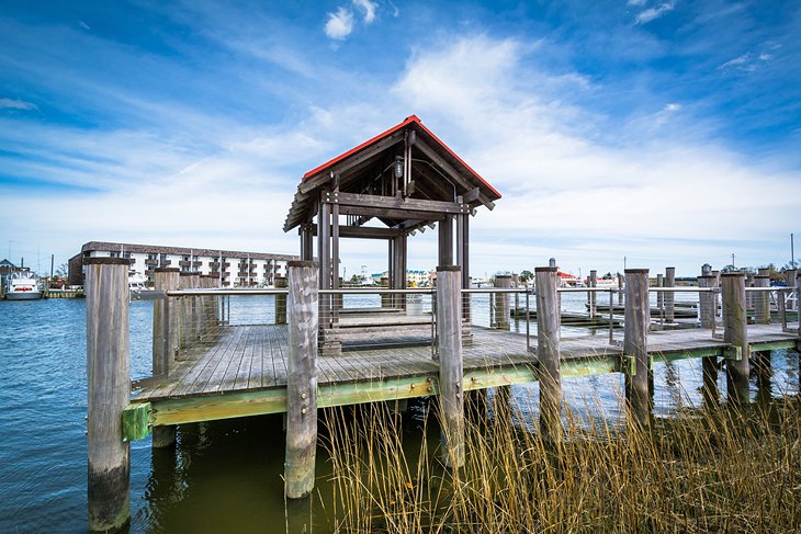 Top or Best Virtual Background Design Agencies and Companies in Smyrna, Delaware