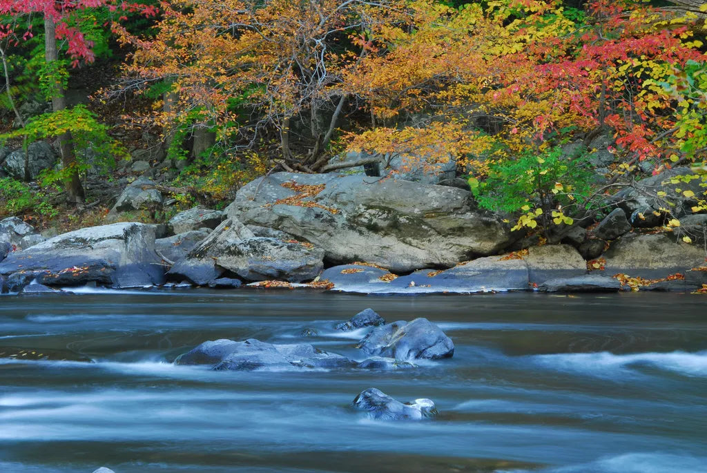 Top or Best Infographic Design Agencies and Companies in Newark, Delaware