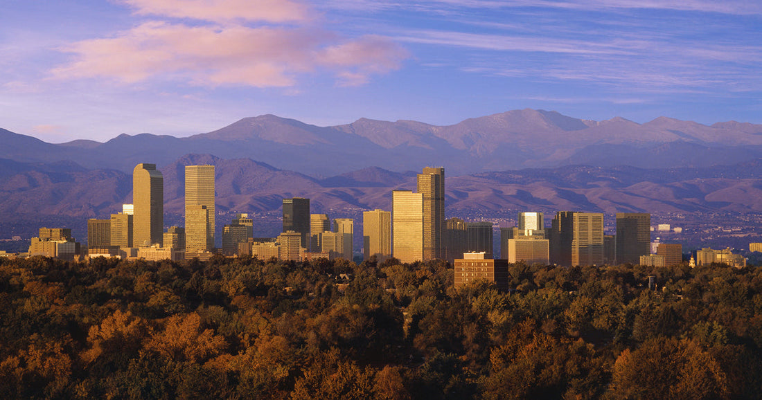 Top or Best Tattoo Design Agencies and Companies in Denver, Colorado