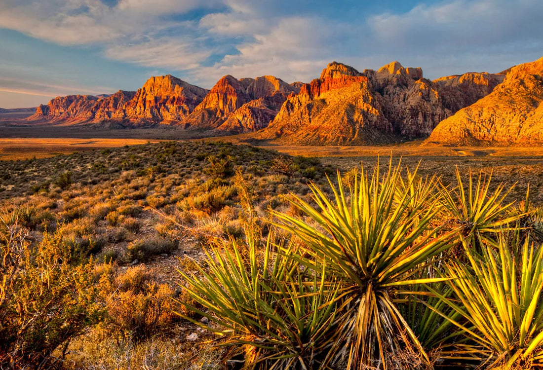 Best or Top AR Filters & Lenses Agencies and Companies in Las Vegas, Nevada
