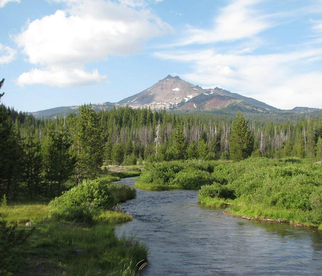 Top or Best Web and Mobile Design Agencies and Companies in Devils Lake, North Dakota