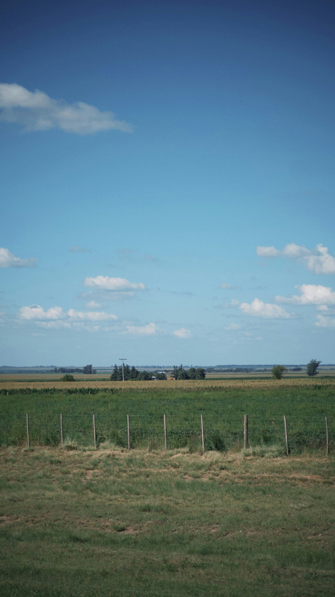 Top or Best Twitch Management Agencies and Companies in Emporia, Kansas