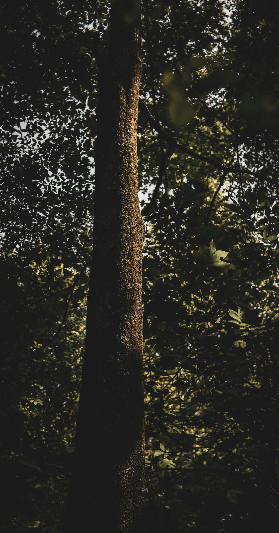 Top and Best Postcard Design Agencies and Companies in Richmond, Virginia