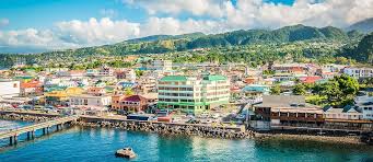 Best Twitch Management Companies in Dominica