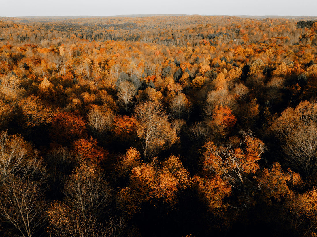 Top and Best Storyboard Agencies and Companies in Vermillion, South Dakota