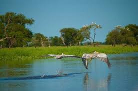 The Top 5 Tattoo Design Agencies in South Sudan: A Look at the Best in the Business