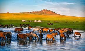Top 5 Tattoo Design Agencies in Mongolia
