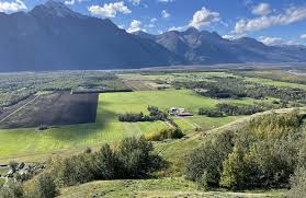 Top or Best Website Design Agencies and Companies in Palmer, Alaska