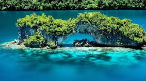 Top Web and Mobile Design Agencies in Palau