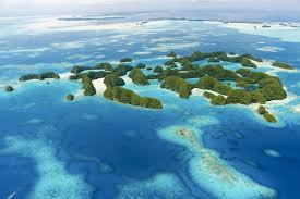 Top Website Design Agencies in Palau