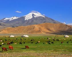 Top 5 Social Media Design Agencies in Mongolia