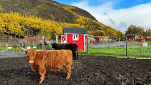 Top or Best Email Campaign Agencies or Companies in Palmer, Alaska
