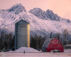 Top or Best App UI/UX Design Agencies or Companies in Palmer, Alaska