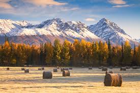 Top or Best AR Filters and Lenses Agencies and Companies in Palmer, Alaska