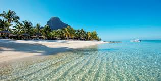 Top 5 Logo Animation Agencies in Mauritius