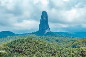 Top Presentation Design Agencies in Sao Tome and Principe