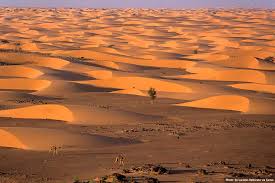 Top NFT Art Agencies in Mauritania
