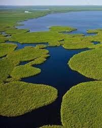 Top 5 Logo Animation Agencies in South Sudan: Leading the Way in Creative Excellence