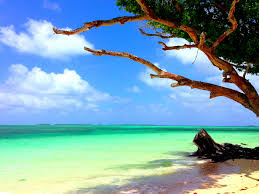 Top NFT Art Agencies in Marshall Islands