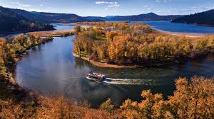 Top or Best X (Twitter) Management Agencies and Companies in Coeur d’Alene, Idaho