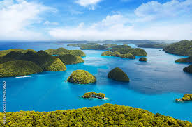 Top Business Card Design Agencies in Palau