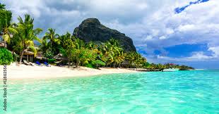 Top 5 Brochure Design Agencies in Mauritius: Unveiling the Best in the Business