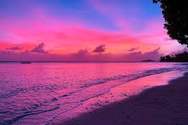 Top Photography and Photo Editing Agencies in Marshall Islands