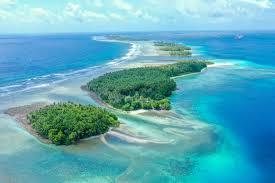 Top Portraits and Caricatures Agencies in Marshall Islands