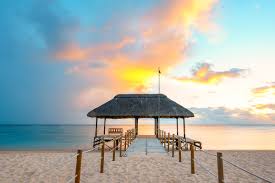 Top 5 Website Design Agencies in Mauritius: Leading the Digital Transformation