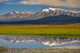 Top 5 Direct Mail Design Agencies in Mongolia: Leading the Way with Creativity and Impact