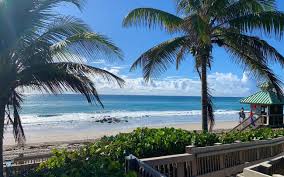 Top or Best Banner Ads Agencies and Companies in Boca Raton, Florida