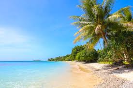Top Cartoons and Comics Agency in Marshall Islands