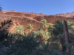 Top Cartoon and Comic Agencies in Mauritania