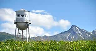 Top or Best Animation and Motion Graphics Agencies and Companies in Palmer, Alaska
