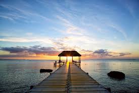 Top 5 Social Media Design Agencies in Mauritius