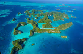 Top Brand Identity Package Agencies in Palau