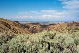 Top or Best Catalog Design Agencies and Companies in Mountain Home, Idaho