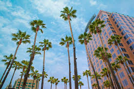 Top or Best Copywriting Agencies and Companies in San Jose, California