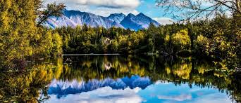 Top or Best Packaging Design Agencies and Companies in Palmer, Alaska