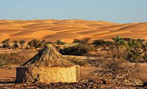 Top Web and Mobile Design Agencies in Mauritania