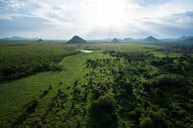 The Top 5 NFT Art Agencies in South Sudan: A Revolution in Digital Art