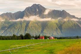 Top or Best Brand Identity Package Agencies or Companies in Palmer, Alaska
