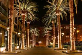 Top or Best Menu Design Agencies and Companies in San Jose, California