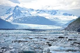 Top or Best Web and Mobile Design Agencies and Companies in Palmer, Alaska